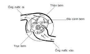 Nguyên lý hoạt động của bơm nước xe khách